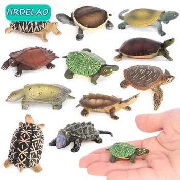 Mini Realist Reptile Animale Pui de broasca Testoasa Model de Acțiune Figurina Cifre Colecție de Păpuși Jucării Educative pentru copii pentru Copii Cadouri